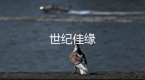 世纪佳缘