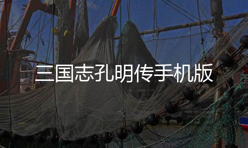 三国志孔明传手机版