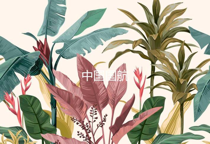 中国国航