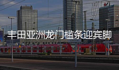 丰田亚洲龙门槛条迎宾脚踏板防踩保护贴车内装饰汽车用品配件改装