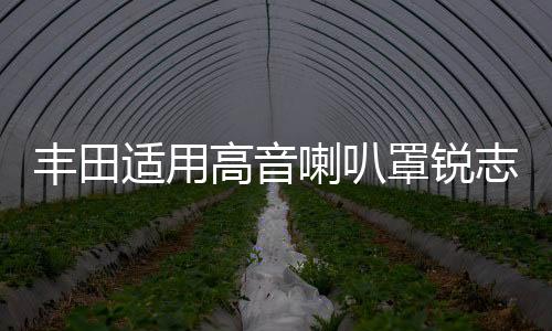 丰田适用高音喇叭罩锐志卡罗拉雷凌花冠威驰致炫雅力士三角位加装