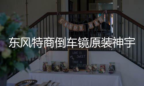 东风特商倒车镜原装神宇擎宇三环大运风度倒车镜汽车反光镜后视镜