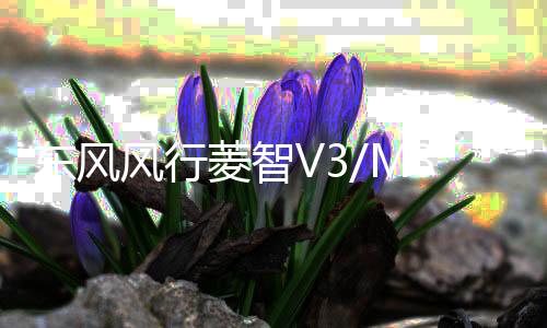 东风风行菱智V3/M3/景逸X3/SUV/XV/原装电瓶1.5L瓦尔塔汽车蓄电池