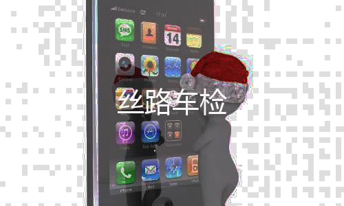 丝路车检