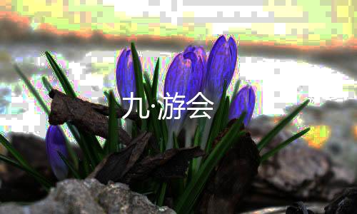 九·游会