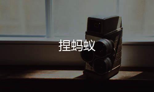 捏蚂蚁