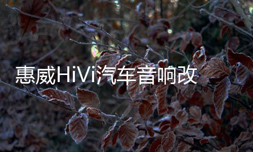 惠威HiVi汽车音响改装5寸套装喇叭扬声器车载重低音高音同轴无损