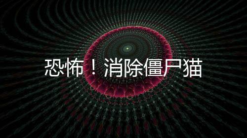 恐怖！消除僵尸猫