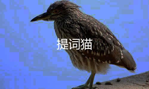 提词猫