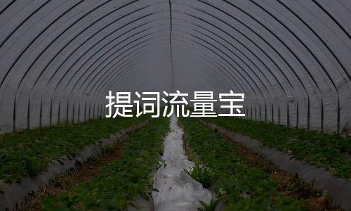 提词流量宝
