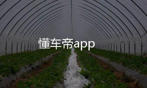 懂车帝app