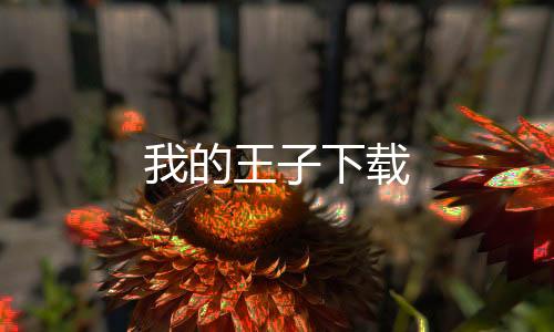 我的王子下载
