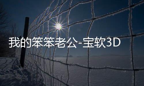我的笨笨老公-宝软3D主题