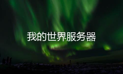 我的世界服务器