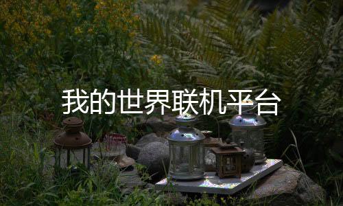我的世界联机平台