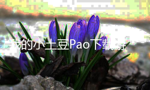 我的小土豆Pao下载