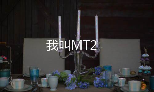 我叫MT2