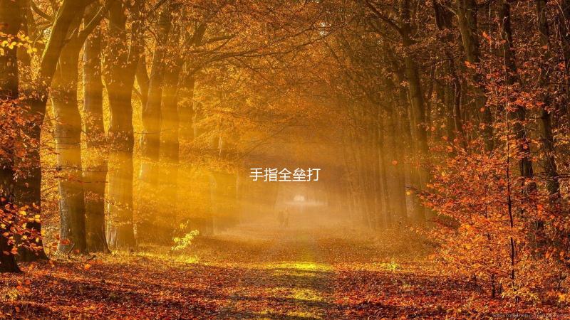 手指全垒打