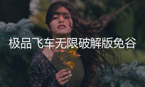 极品飞车无限破解版免谷歌