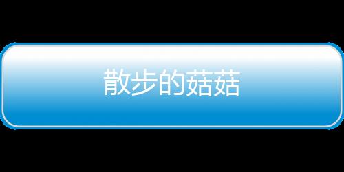 散步的菇菇
