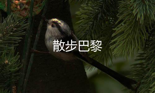 散步巴黎