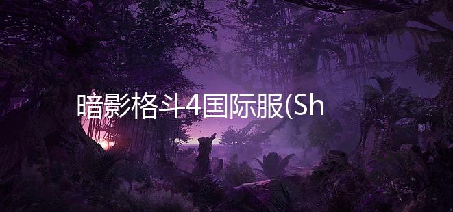 暗影格斗4国际服(Shadow Fight 4)