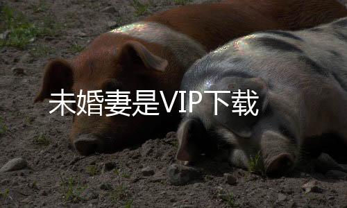 未婚妻是VIP下载