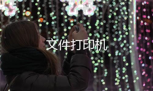文件打印机