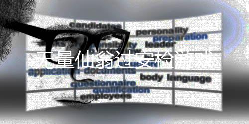 无量仙翁过安检游戏