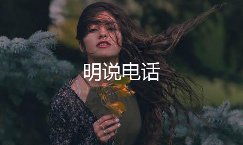 明说电话