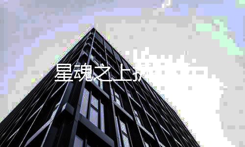 星魂之上折扣版