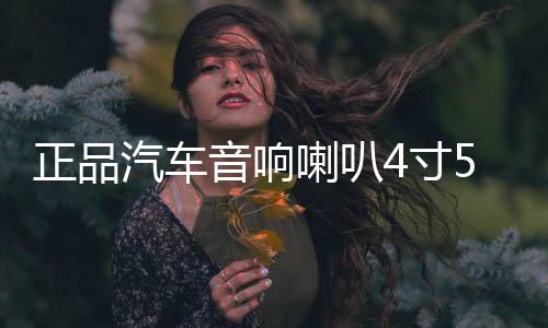 正品汽车音响喇叭4寸5寸套装喇叭车门无损改装喇叭12V
