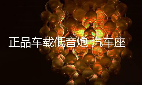 正品车载低音炮 汽车座椅音响12v有源专用超薄超重低音炮车改装