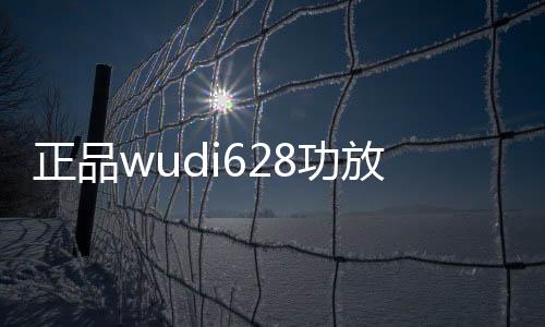 正品wudi628功放汽车音响改装四路功放4声道大功率放大器发烧级