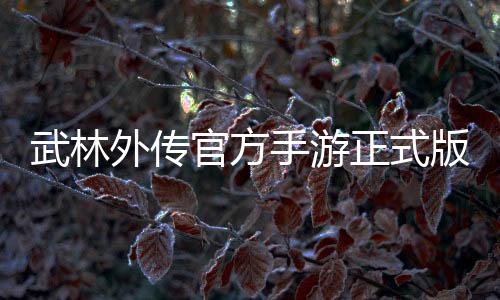 武林外传官方手游正式版