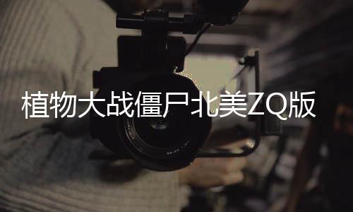 植物大战僵尸北美ZQ版
