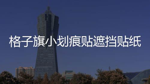 格子旗小划痕贴遮挡贴纸个性车贴 汽车拉花 前保险杠贴火焰图腾