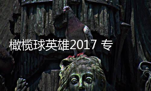 橄榄球英雄2017 专业版下载