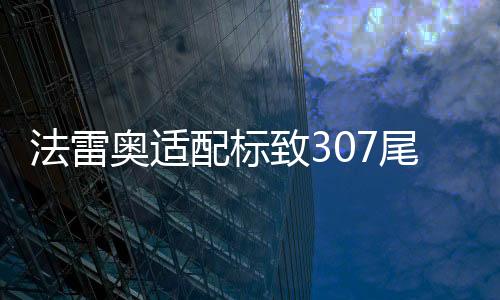 法雷奥适配标致307尾灯总成 小嘴三厢尾灯罩汽车后尾灯 正品配件