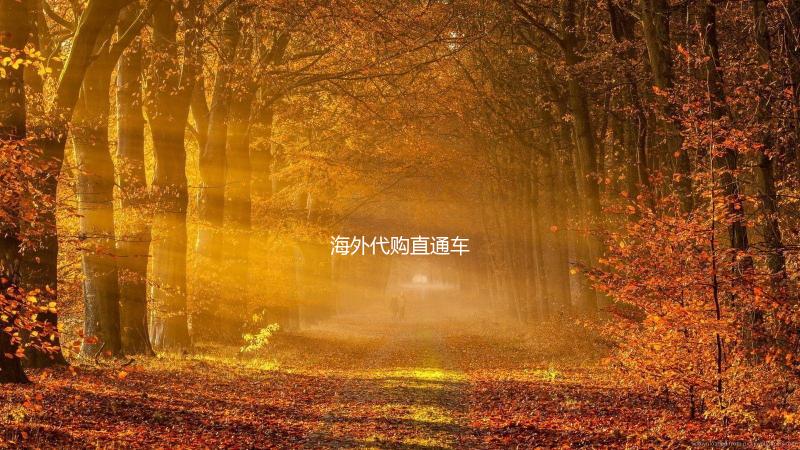 海外代购直通车