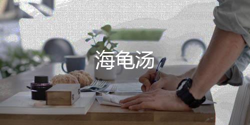 海龟汤