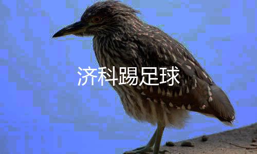 济科踢足球