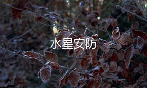 水星安防