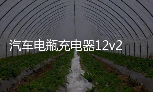 汽车电瓶充电器12v24v伏通用型摩托车蓄电池大功率全自动充满自停