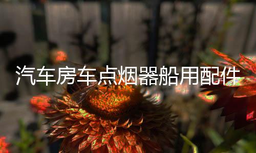 汽车房车点烟器船用配件面板电源插座双USB车充电压表带开关12V