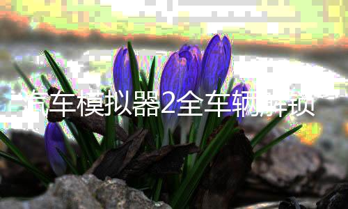 汽车模拟器2全车辆解锁版