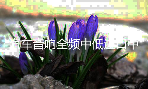 汽车音响全频中低进口中音喇叭2.5寸中高音喇叭立体环绕中置喇叭
