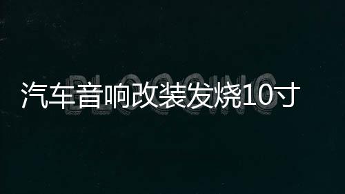 汽车音响改装发烧10寸12寸双磁双音圈超重低音车载无源低音炮喇叭