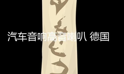 汽车音响高音喇叭 德国A 2寸高音喇叭 车载高音头 汽车高音仔
