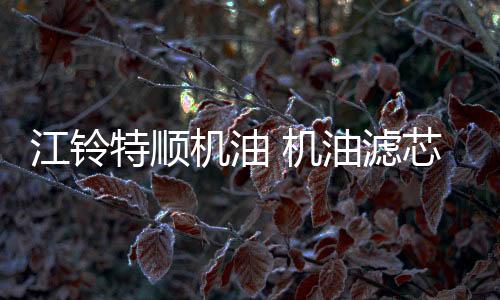 江铃特顺机油 机油滤芯 特顺柴油滤芯 空滤 特顺空气滤芯 三滤